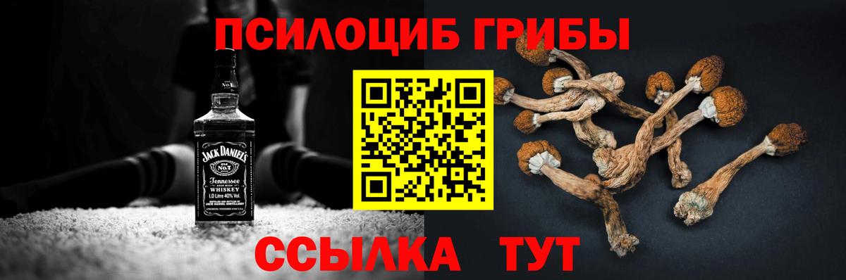 Сланцы  Псилоцибиновые грибы Magic Shrooms  наркошоп  Вход с VPN 